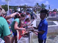 2016060773 Turtle and Wildlife Adventure, Grand Cayman, Cayman Islands (June 9)
