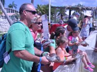 2016060774 Turtle and Wildlife Adventure, Grand Cayman, Cayman Islands (June 9)
