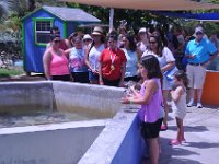 2016060775 Turtle and Wildlife Adventure, Grand Cayman, Cayman Islands (June 9)