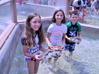 2016060787 Turtle and Wildlife Adventure, Grand Cayman, Cayman Islands (June 9)