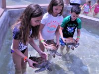 2016060798 Turtle and Wildlife Adventure, Grand Cayman, Cayman Islands (June 9)