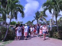 2016060822 Turtle and Wildlife Adventure, Grand Cayman, Cayman Islands (June 9)