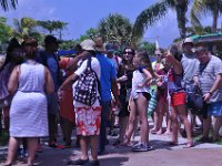 2016060824 Turtle and Wildlife Adventure, Grand Cayman, Cayman Islands (June 9)
