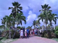 2016060825 Turtle and Wildlife Adventure, Grand Cayman, Cayman Islands (June 9)