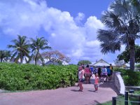 2016060826 Turtle and Wildlife Adventure, Grand Cayman, Cayman Islands (June 9)