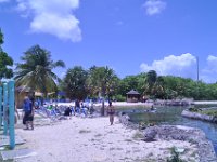 2016060857 Turtle and Wildlife Adventure, Grand Cayman, Cayman Islands (June 9)