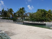 2016060857A Turtle and Wildlife Adventure, Grand Cayman, Cayman Islands (June 9)