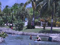 2016060873 Turtle and Wildlife Adventure, Grand Cayman, Cayman Islands (June 9)