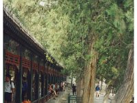 2001 06 i17 Summer Palace- Beijing