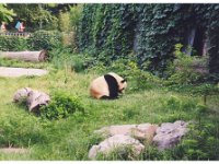 2001 06 i07 Zoo - Beijing