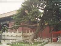 2001 06 j28 Ming Tombs - Beijing