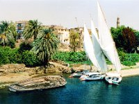 1992071183B 8x10 Darrel-Betty-Darla Hagberg - Egypt Vacation