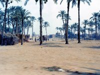 1992071044 Darrel-Betty-Darla Hagberg - Egypt Vacation