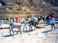 1992071091 Darrel-Betty-Darla Hagberg - Egypt Vacation