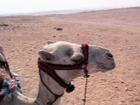 1992071100A Darrel-Betty-Darla Hagberg - Egypt Vacation