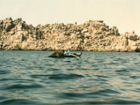 1992071209 Darrel-Betty-Darla Hagberg - Egypt Vacation