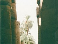 1992071301 Darrel-Betty-Darla Hagberg - Egypt Vacation