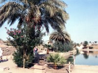 1992071309 Darrel-Betty-Darla Hagberg - Egypt Vacation