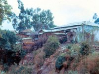 1966041102 Houses in Ambo