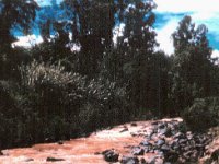 1966041106 Stream near Ambo