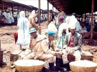 1966051106 Egg Market-Addis Ababa