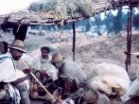 1966051111 Smoking water Pipe - Addis Market