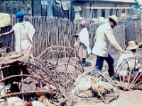 1966051116 Chicken Market-Addis Ababa