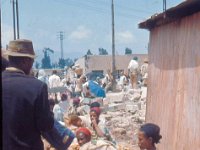 1966051172 Potato Market - Addis