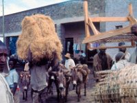 1966051174 Market - Addis Ababa