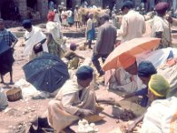 1966051110 Potatos & Garlic Market-Addis Ababa