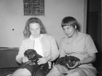 1964091104 Betty McLaughlin - Barbra Mann and their puppies -Debre Berhan