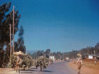 1964101306 Road to Debre Berhan