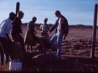 1964101335 Helping Girls Through A Fence