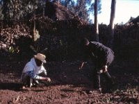 1964111103  Students Our Planting Flower Garden - Lemma - Astatalie