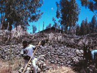 1964111221 Students Cleaning Back Yard - Debre Berhan