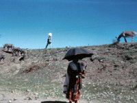 1965021105 Market Scene between Dessie & Debre Berhan