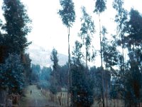 1965021112 Debre Sina near Mussolini Pass