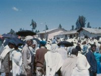 1965021118 Timket Religious Celebration - Debre Berhan