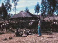 1965021201 Students and Mules in our yard before leaving for Ankober