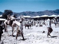 1965021230 Ali Umba - Market in Rift Valley below Ankober