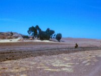 1965021244 Road to Debre Berhan from Ankober