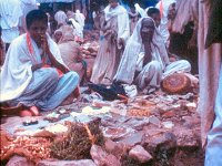 1965031101 Market - Debre Berhan