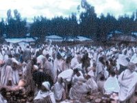 1965031102 Market - Debre Berhan