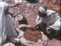 1965031103 Market - Debre Berhan