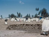 1965031121 Cow Dung Drying for Fuel