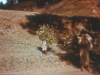 1965041137 Women carrying branches - Lalibella