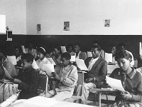 1965041304  7th Grade Students - Haile Mariam Mame School- Debre Berhan-Ethiopia