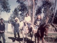 1964091101  Betty McLaughlin - Debie Berhan - Ethiopia