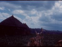 1964101303 Countryside House - Debre Berhan