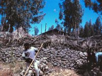 1964111121 Students Cleaning Back Yard - Debre Berhan